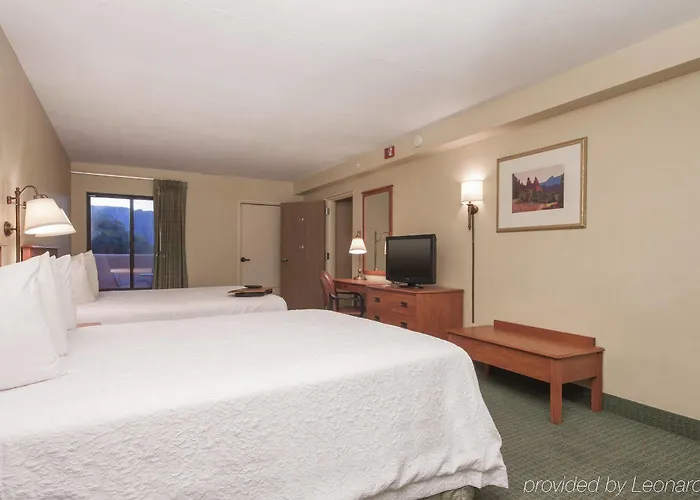 Hampton 3*